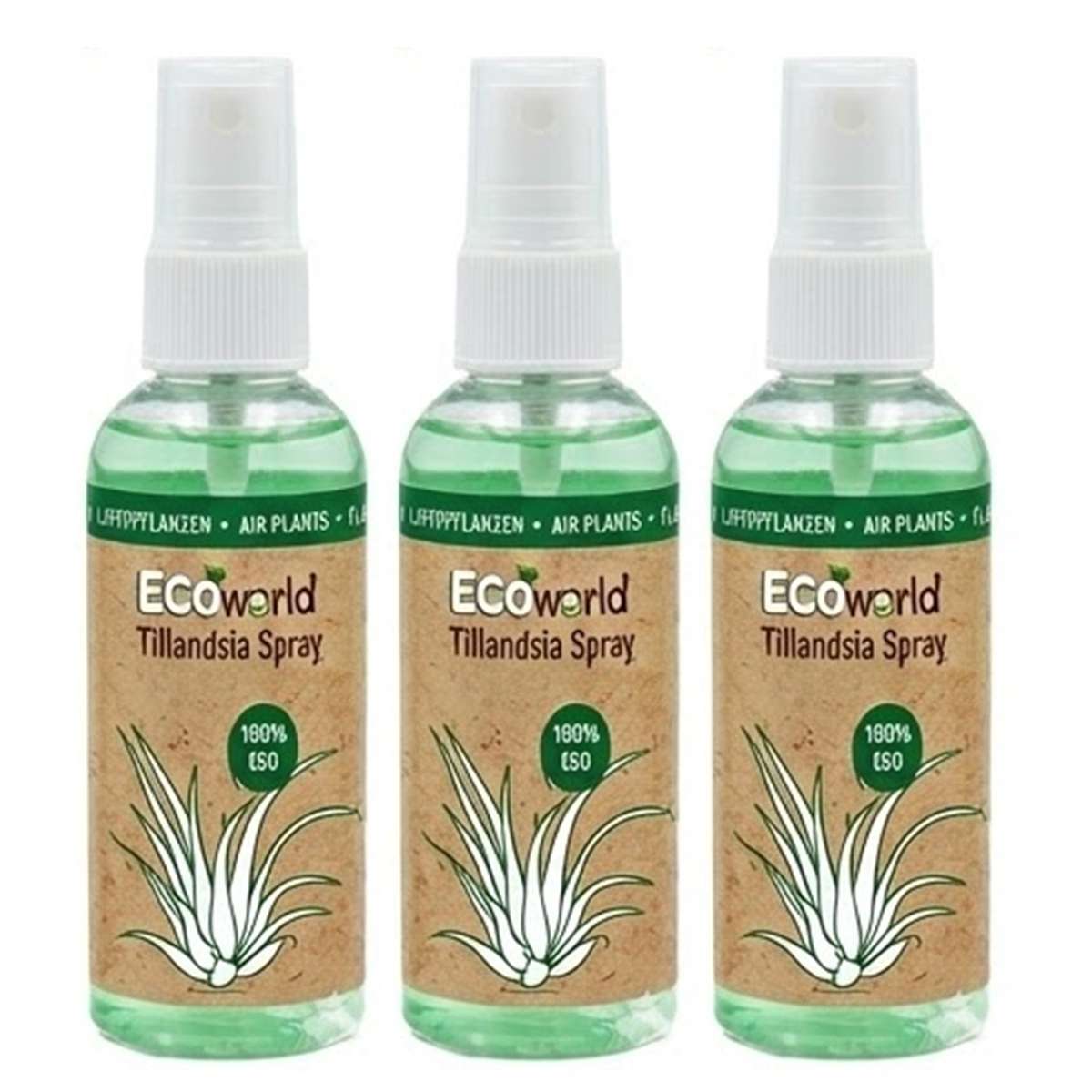 Tillandsia Spray