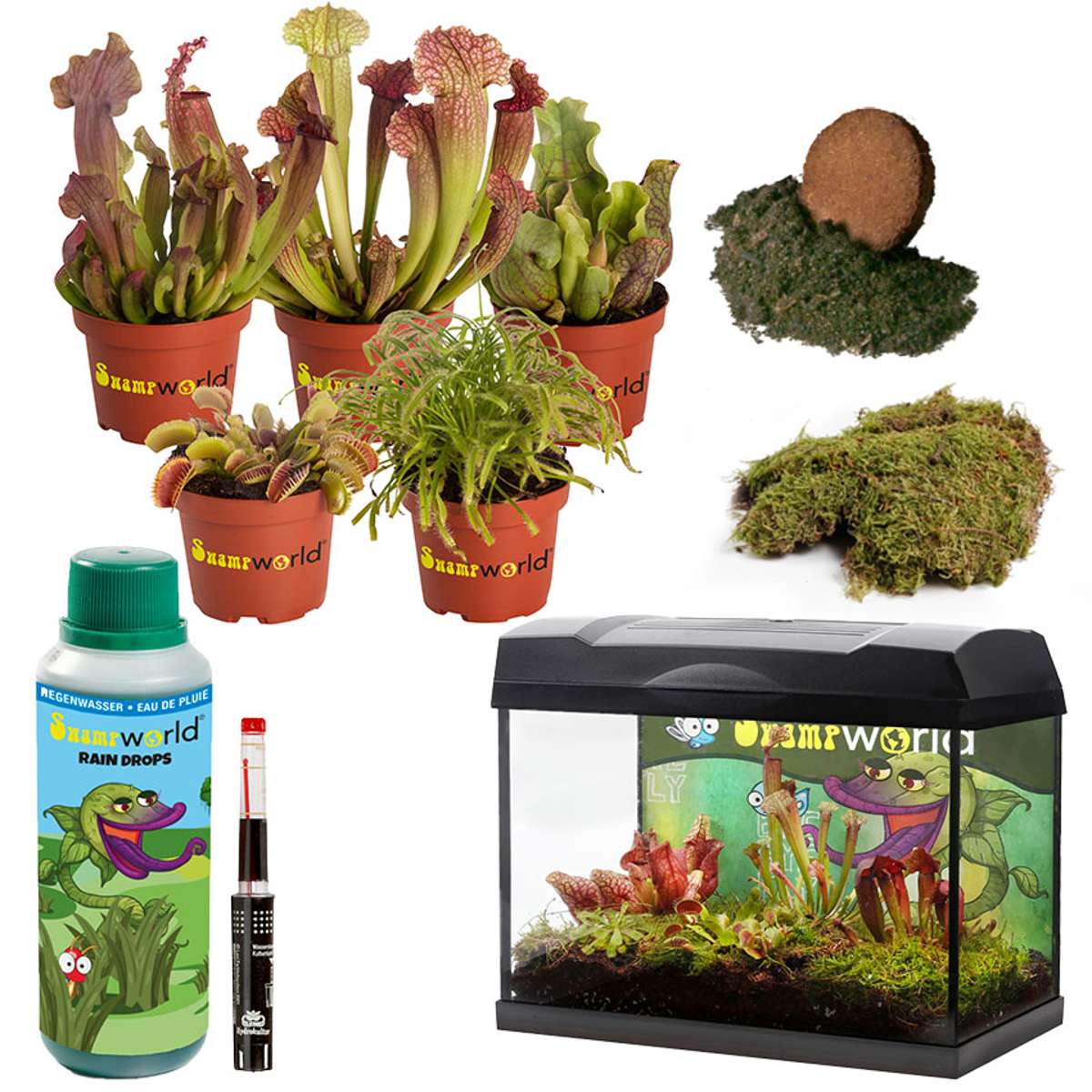 Vleesetende Planten Terrarium