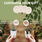 Giveaway Mini Plantjes 100