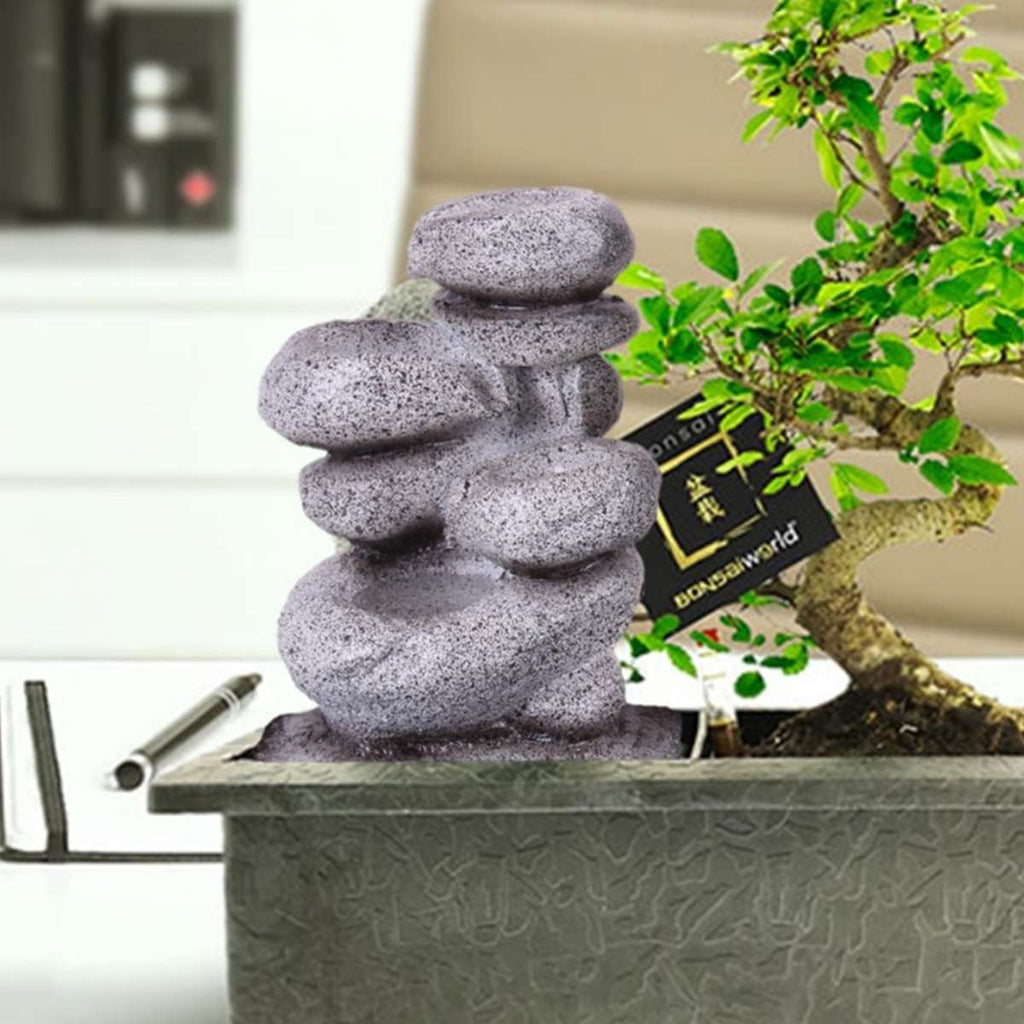 Bonsai Starter Set Zen Waterval