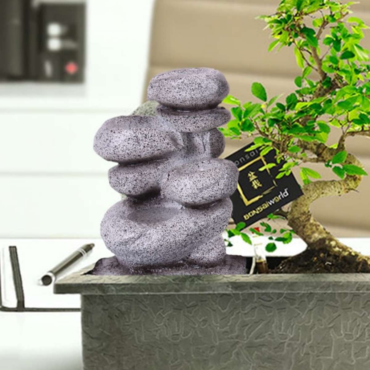 Bonsai Starter Set Zen Waterval