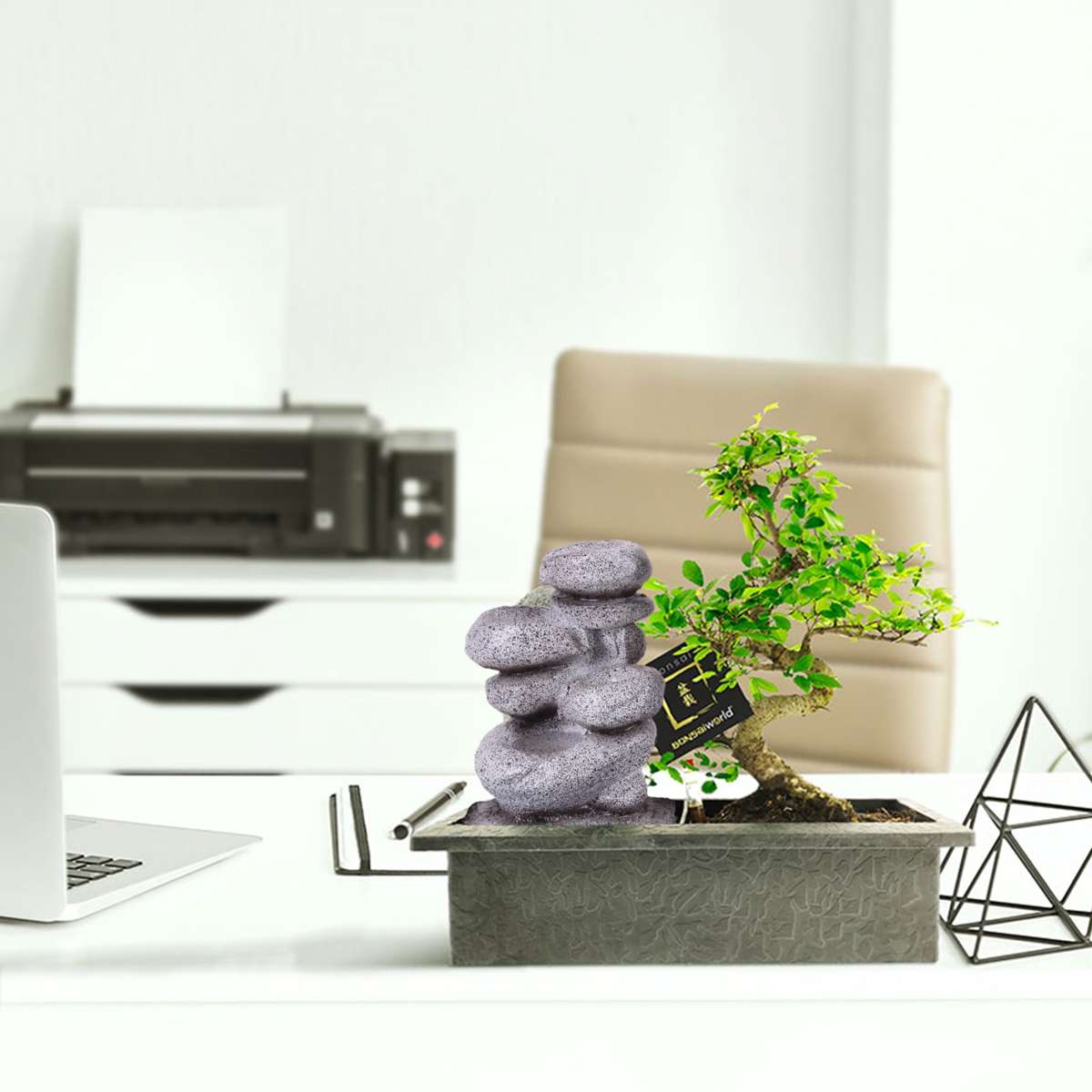 Bonsai Starter Set Zen Waterval