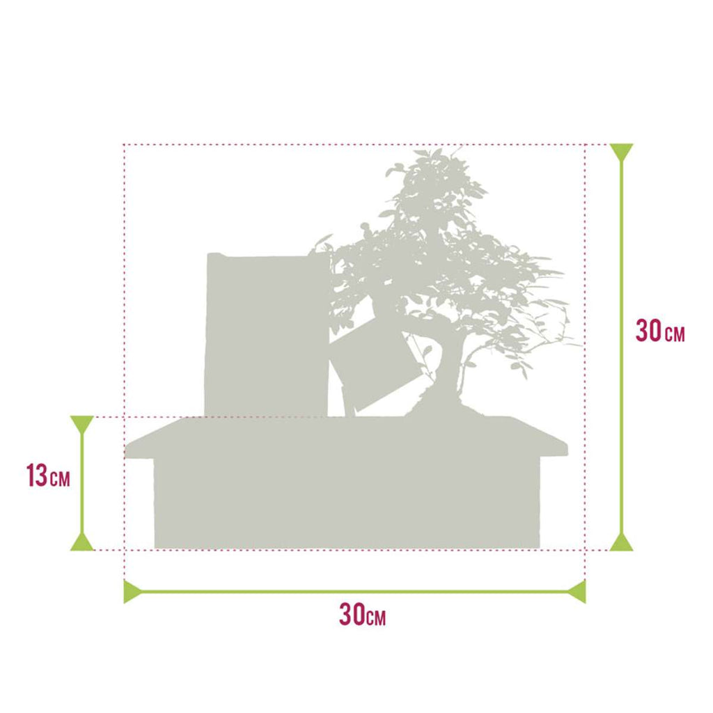 Bonsai Starter Set Boeddha Waterval