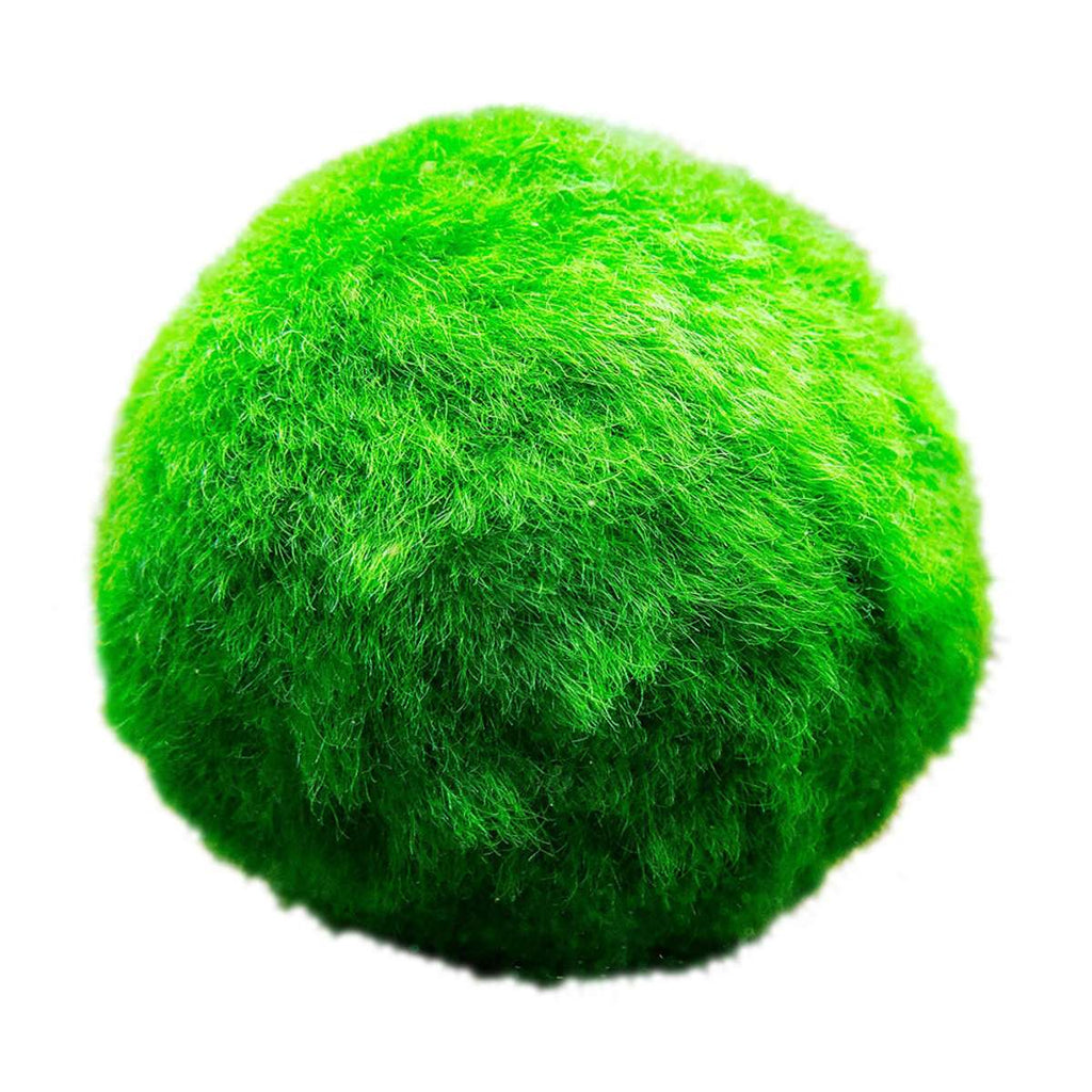 Mosballen 5 planten