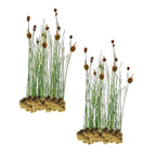 Dwerglisdodde 30 planten