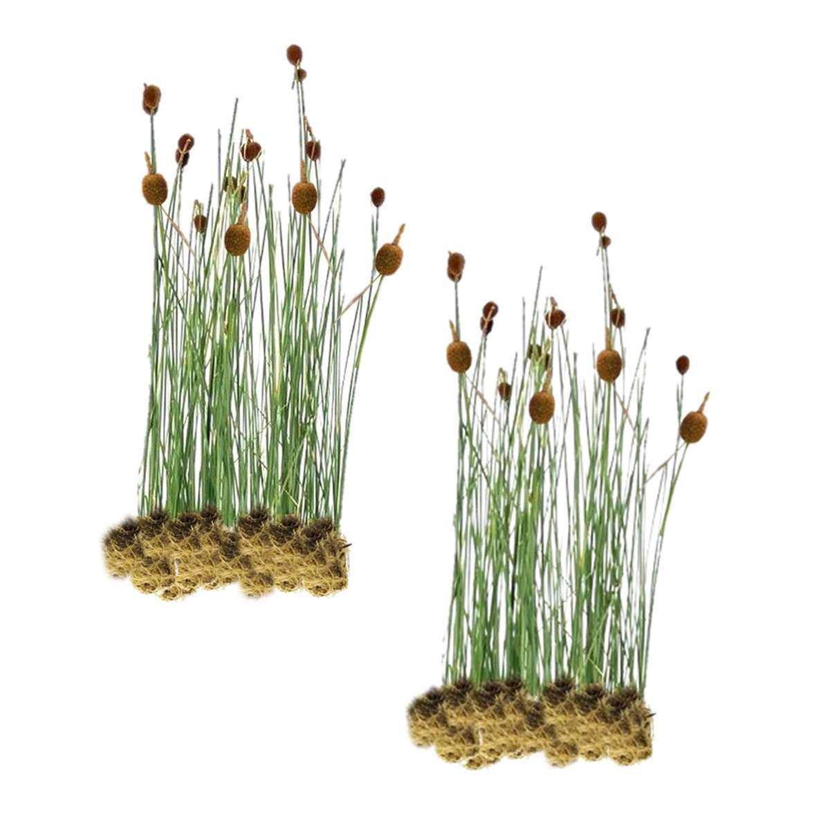 Dwerglisdodde 30 planten