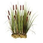 Grote Lisdodde 1000 planten