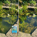 BACTA TAB 3 stuks