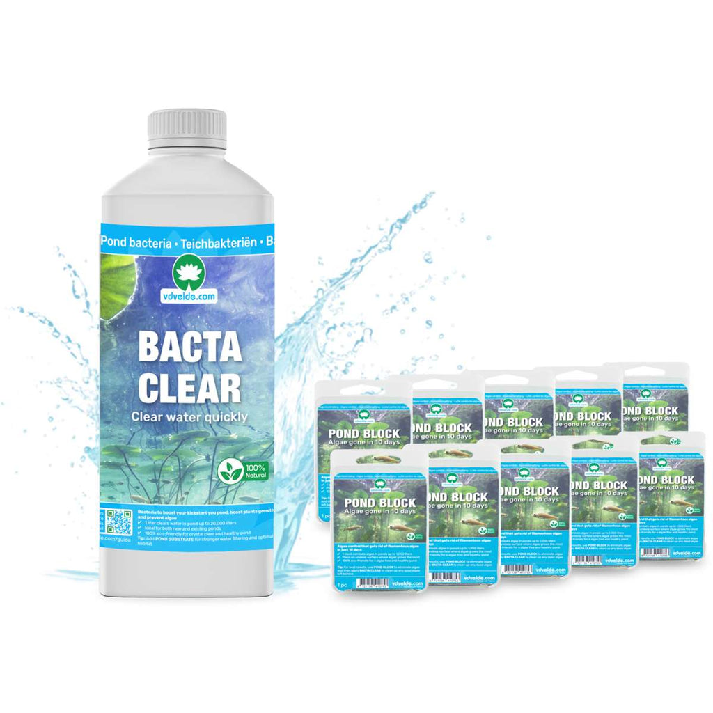 POND BLOCK 10 stuks + Bacteriën