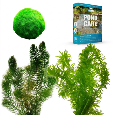 Zuurstofplanten Pakket tegen Groen Water 1.500-3.000L