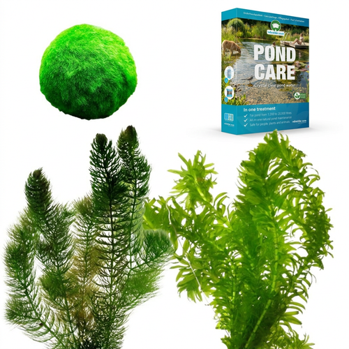 Zuurstofplanten Pakket tegen Groen Water 1.500-3.000L