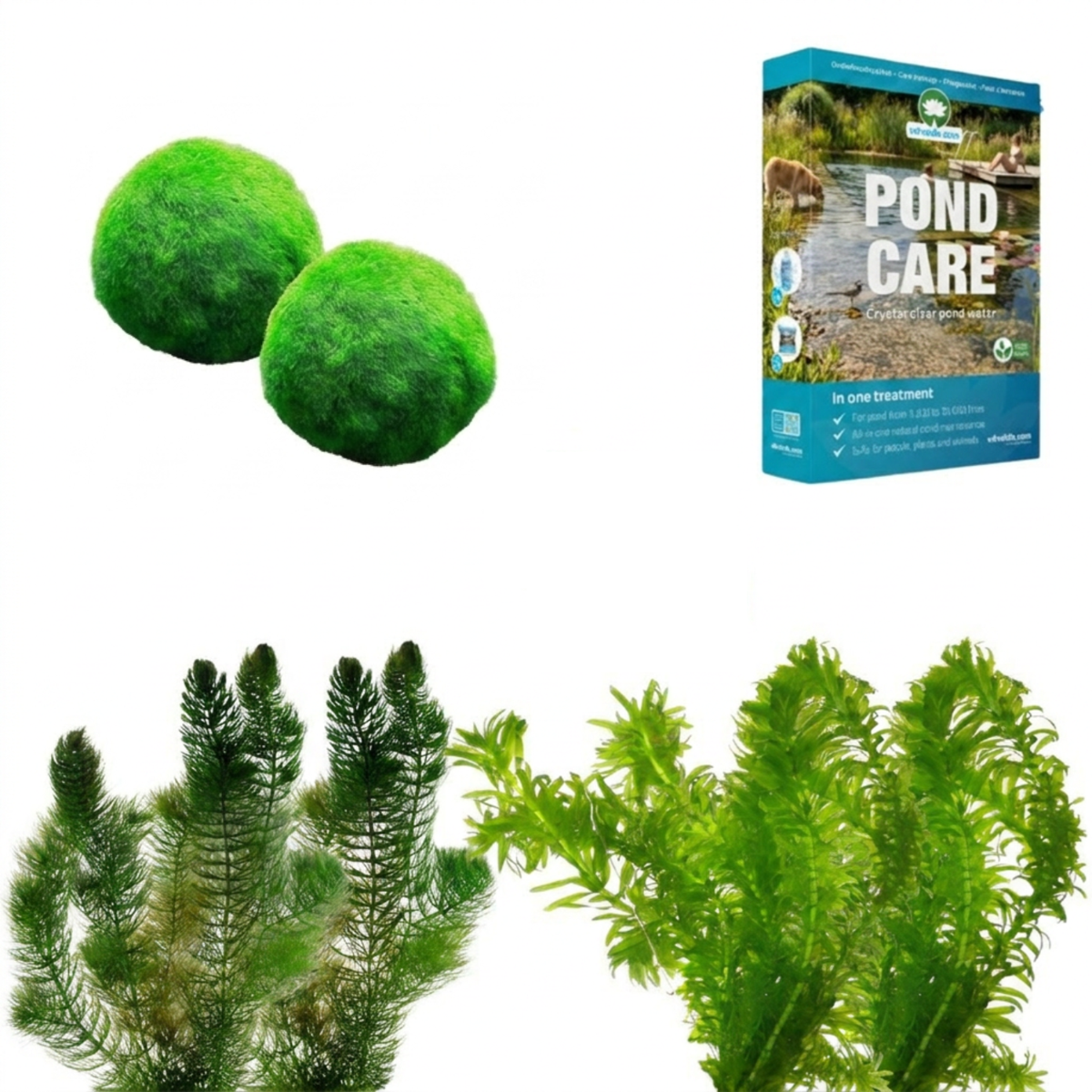 Zuurstofplanten Pakket tegen Groen Water 3.500-6.000L