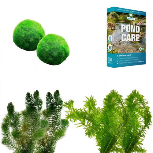 Zuurstofplanten Pakket tegen Groen Water 3.500-6.000L