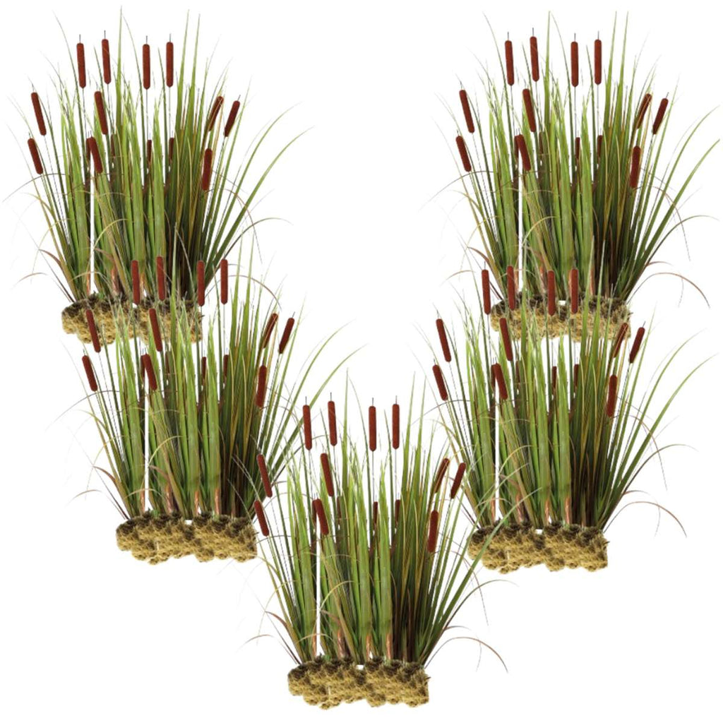 Grote Lisdodde 100 planten