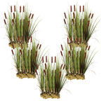 Grote Lisdodde 100 planten