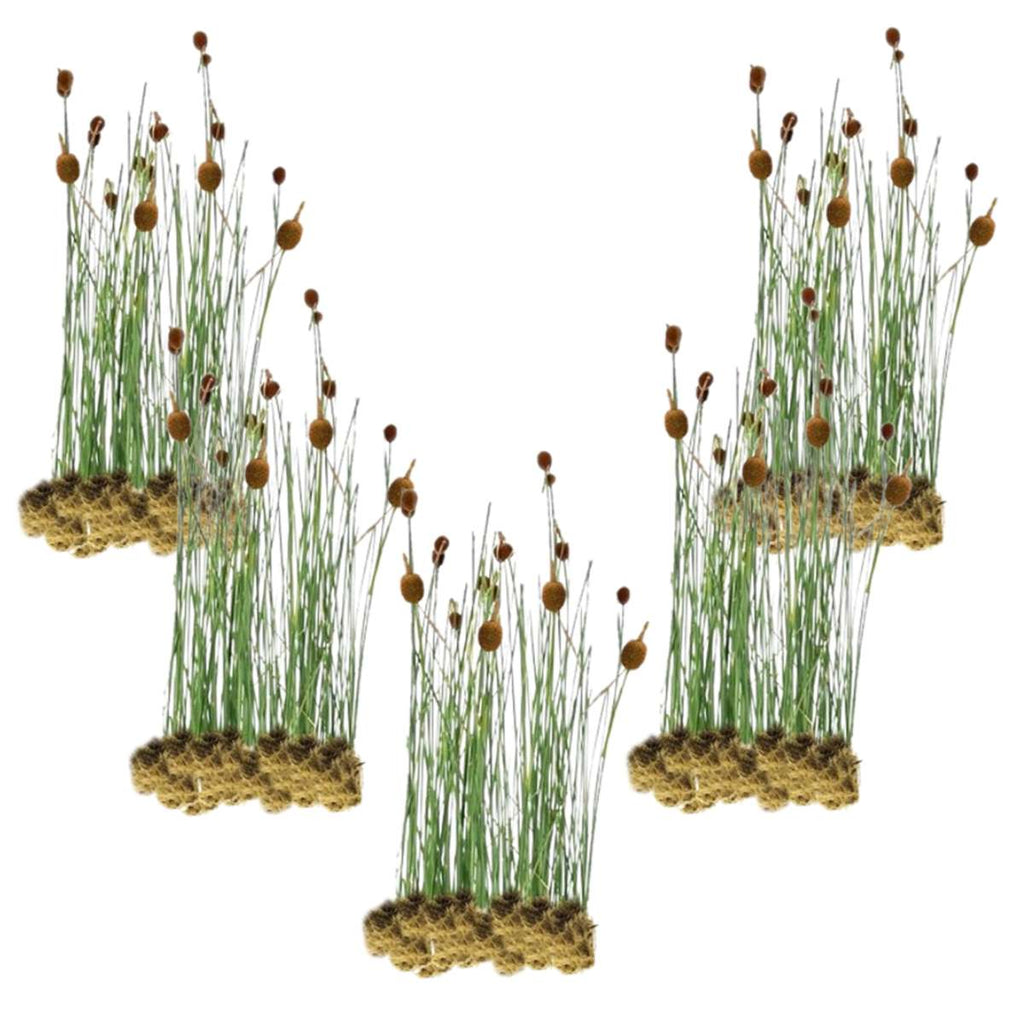 Dwerglisdodde 100 planten