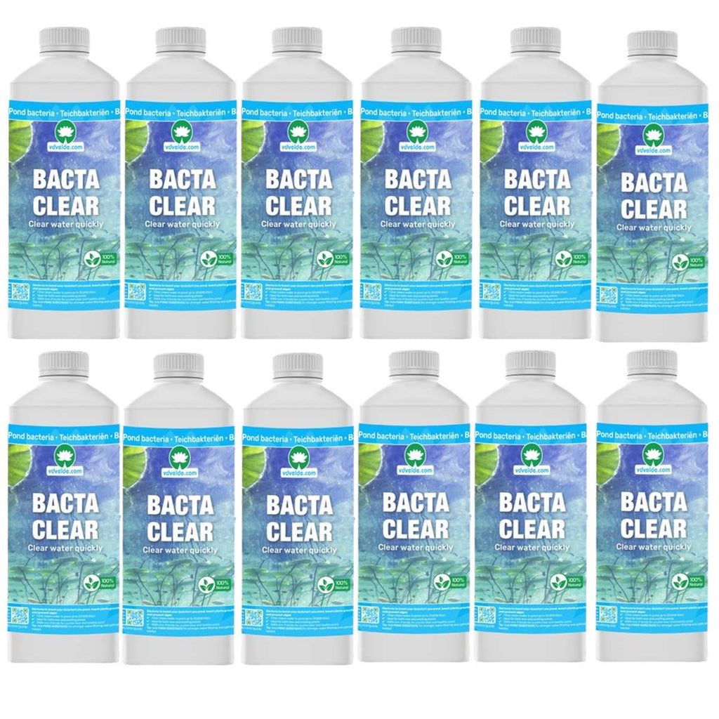 BACTA CLEAR Vijverbacteriën 240.000L