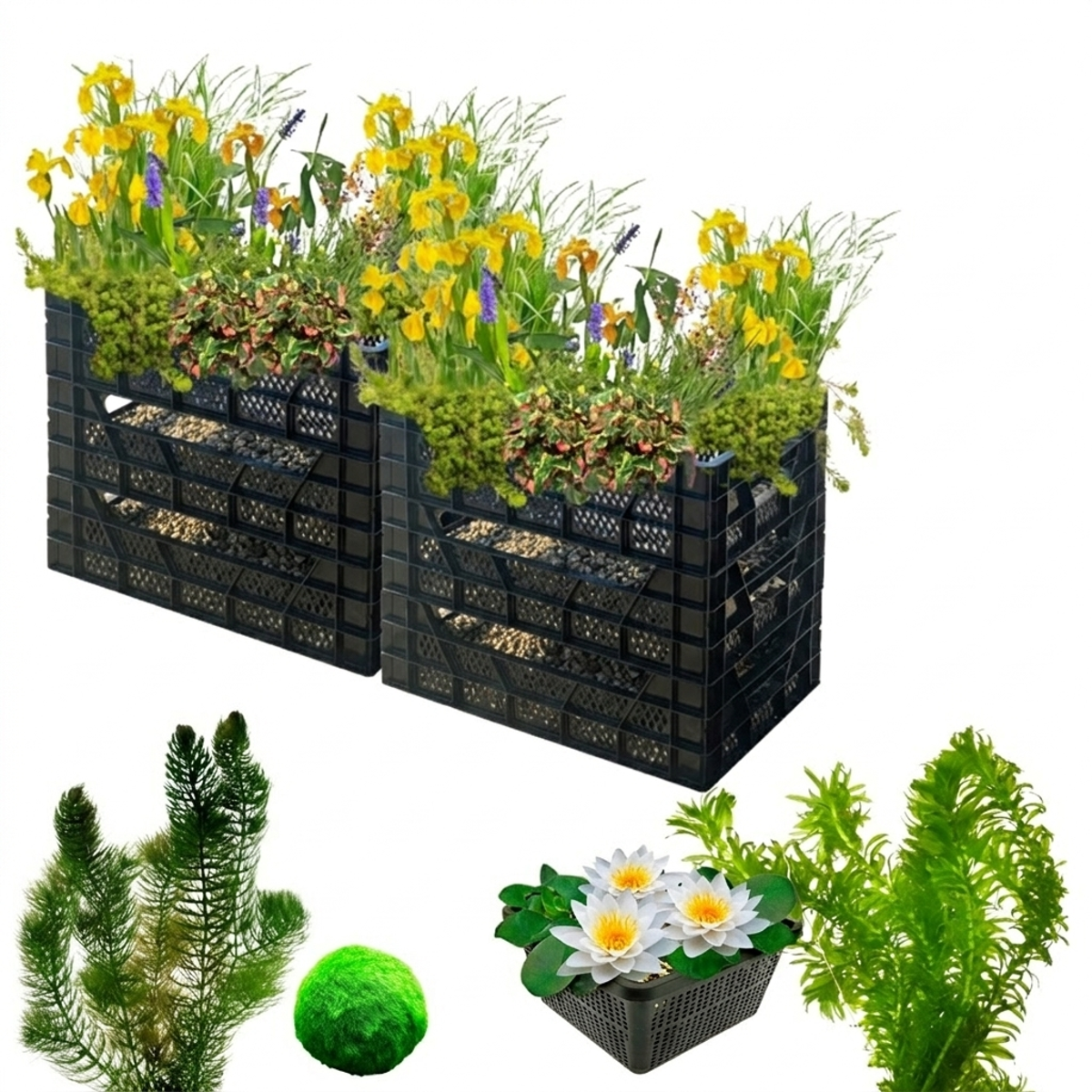 Biofilter 2 torens + Zuurstofplanten en Waterlelies