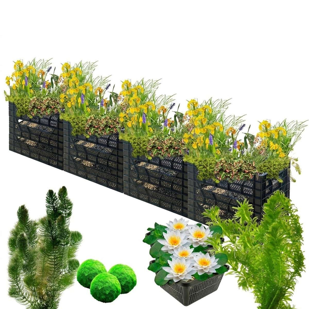 Biofilter 4 torens + Zuurstofplanten en Waterlelies