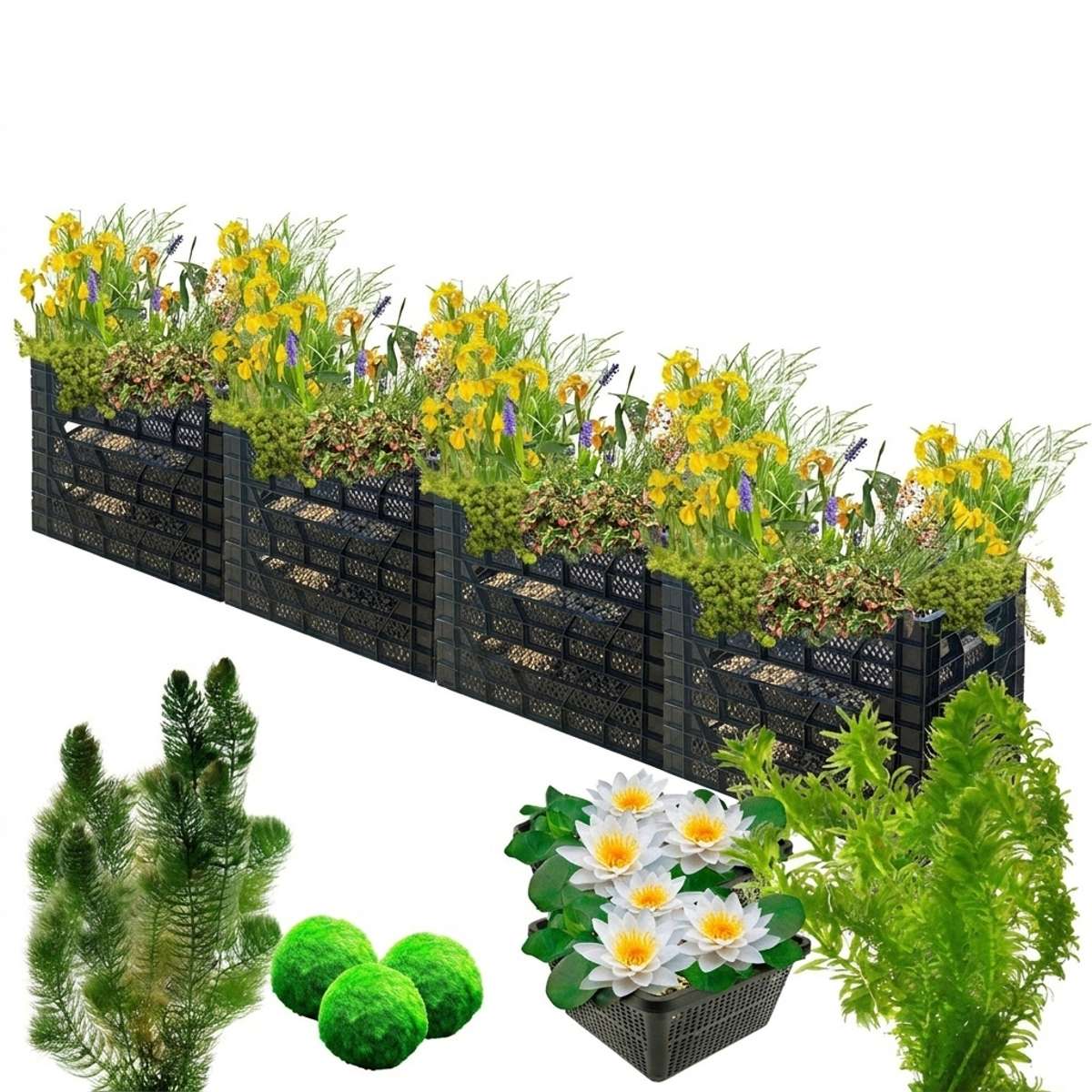 Biofilter 4 torens + Zuurstofplanten en Waterlelies