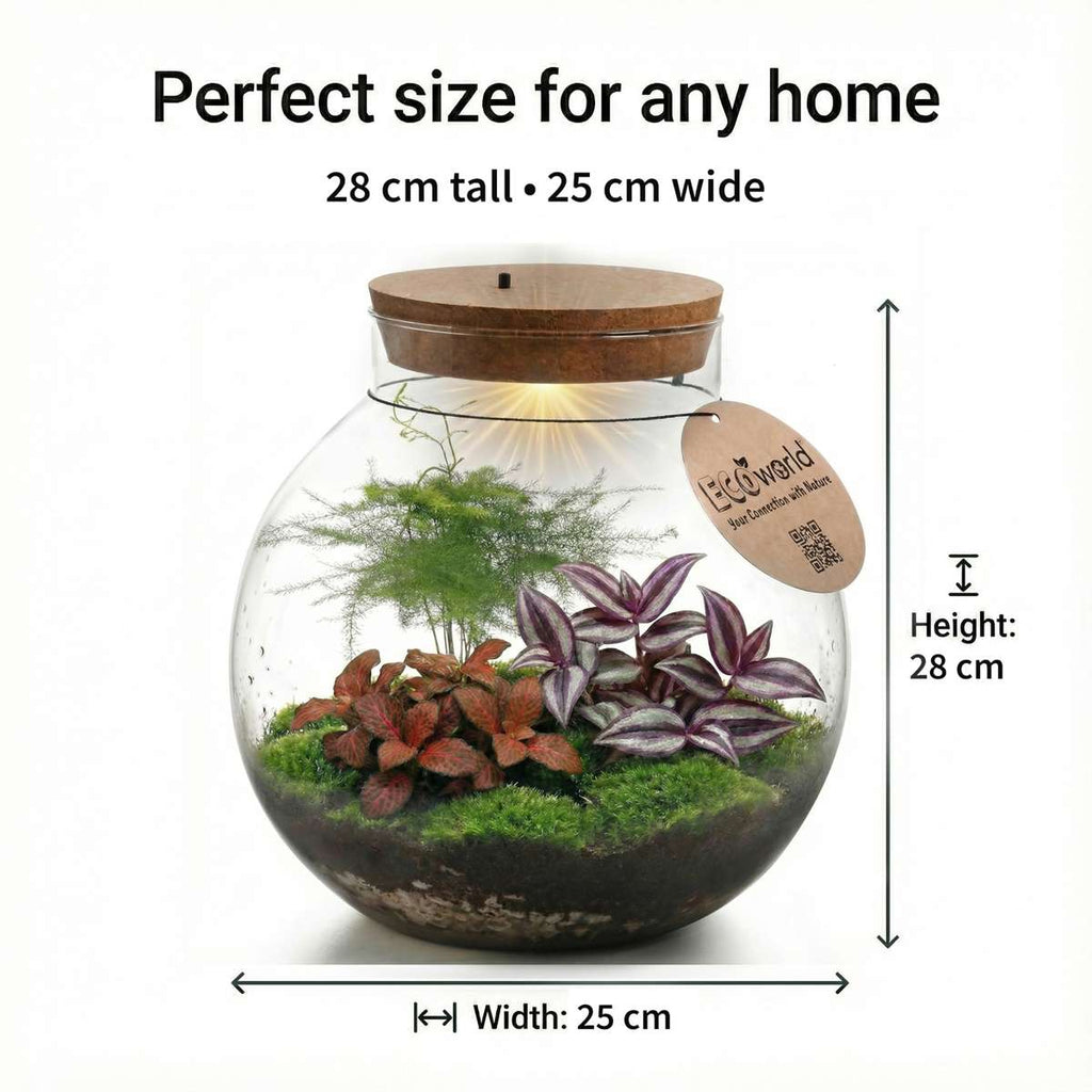 Planten Terrarium