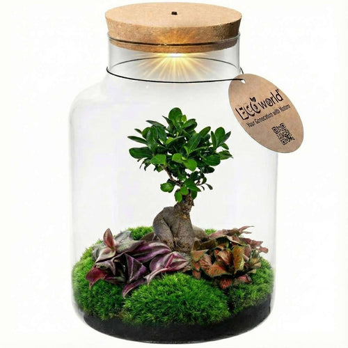 Bonsai in Glazen Pot