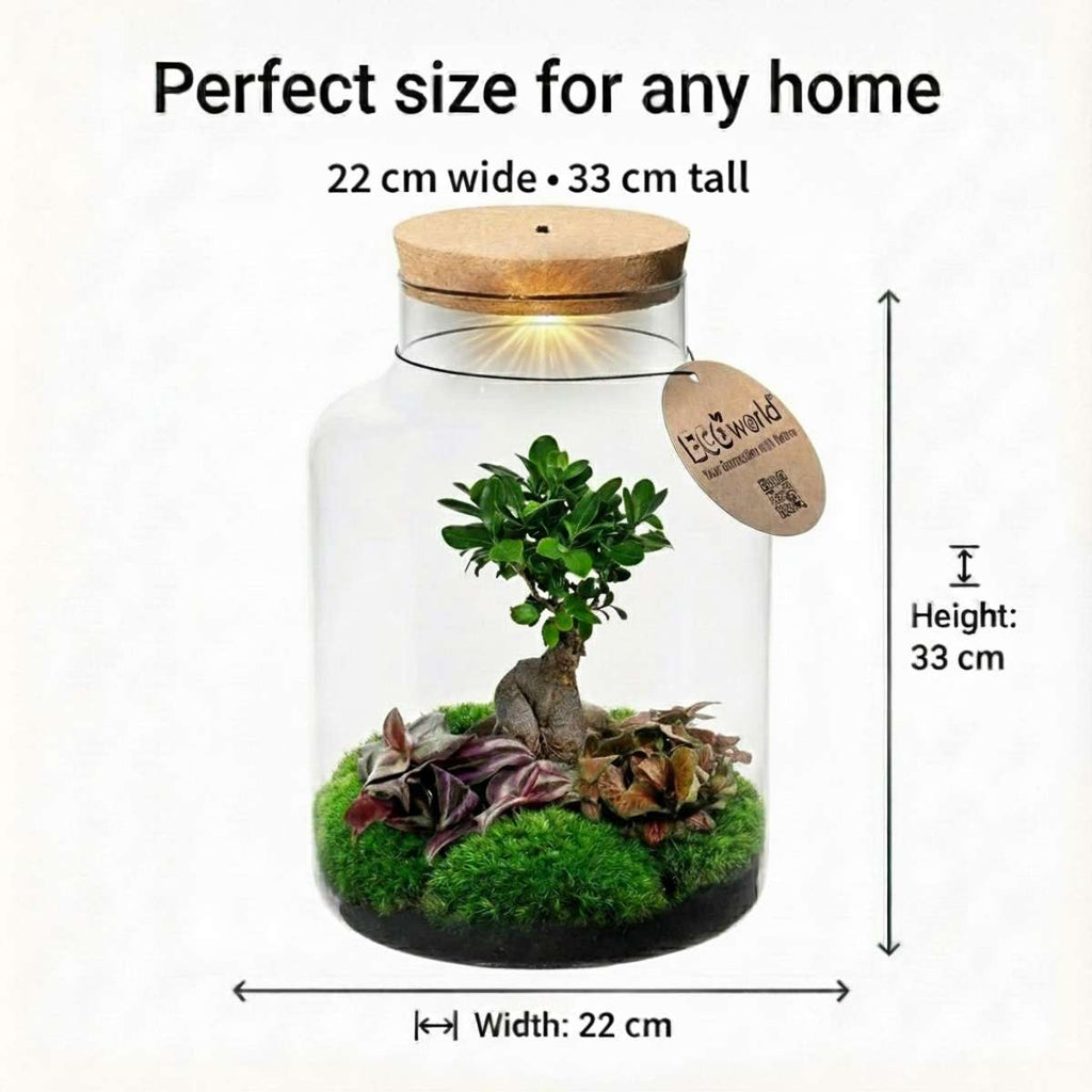 Bonsai in Glazen Pot