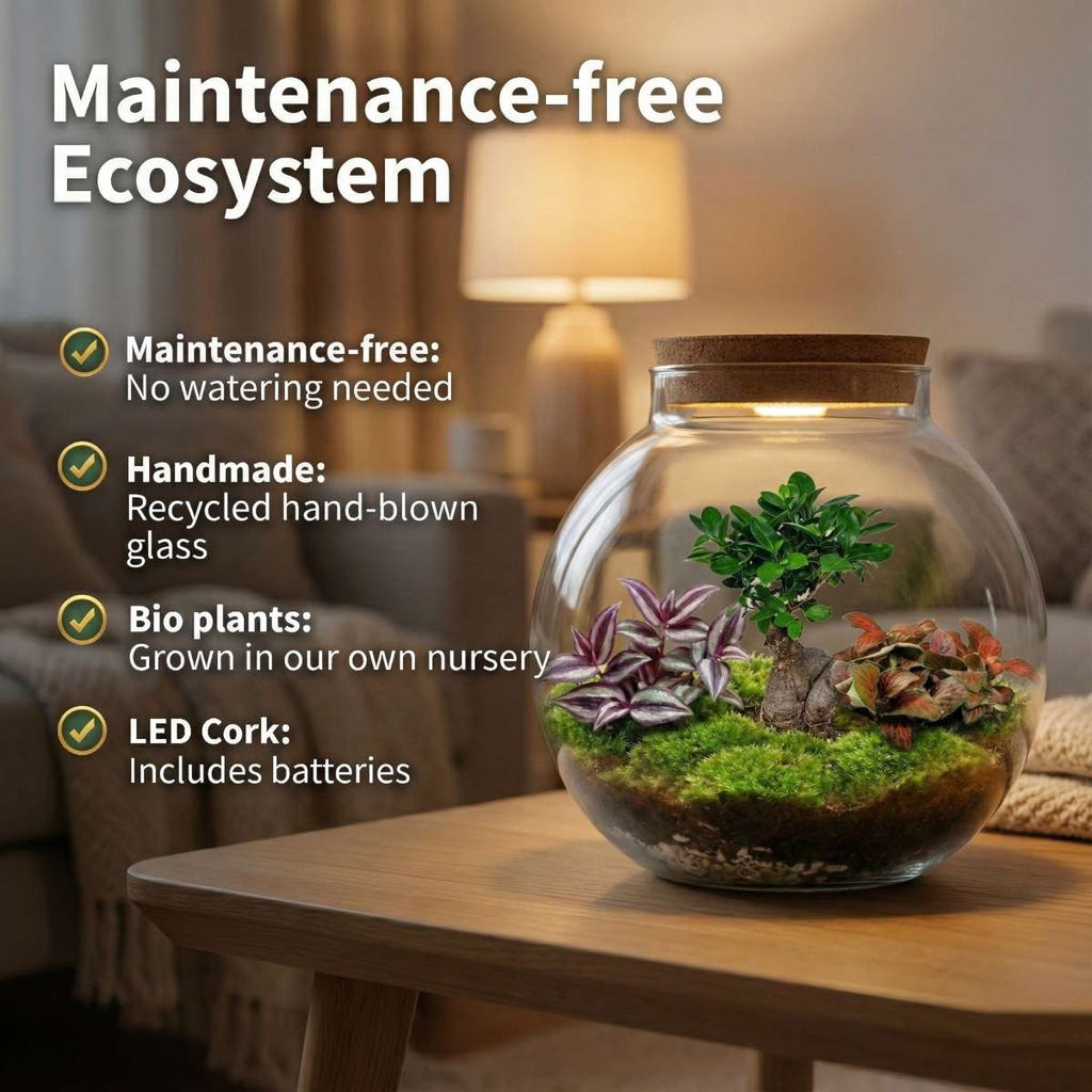 Bonsai Ecosysteem