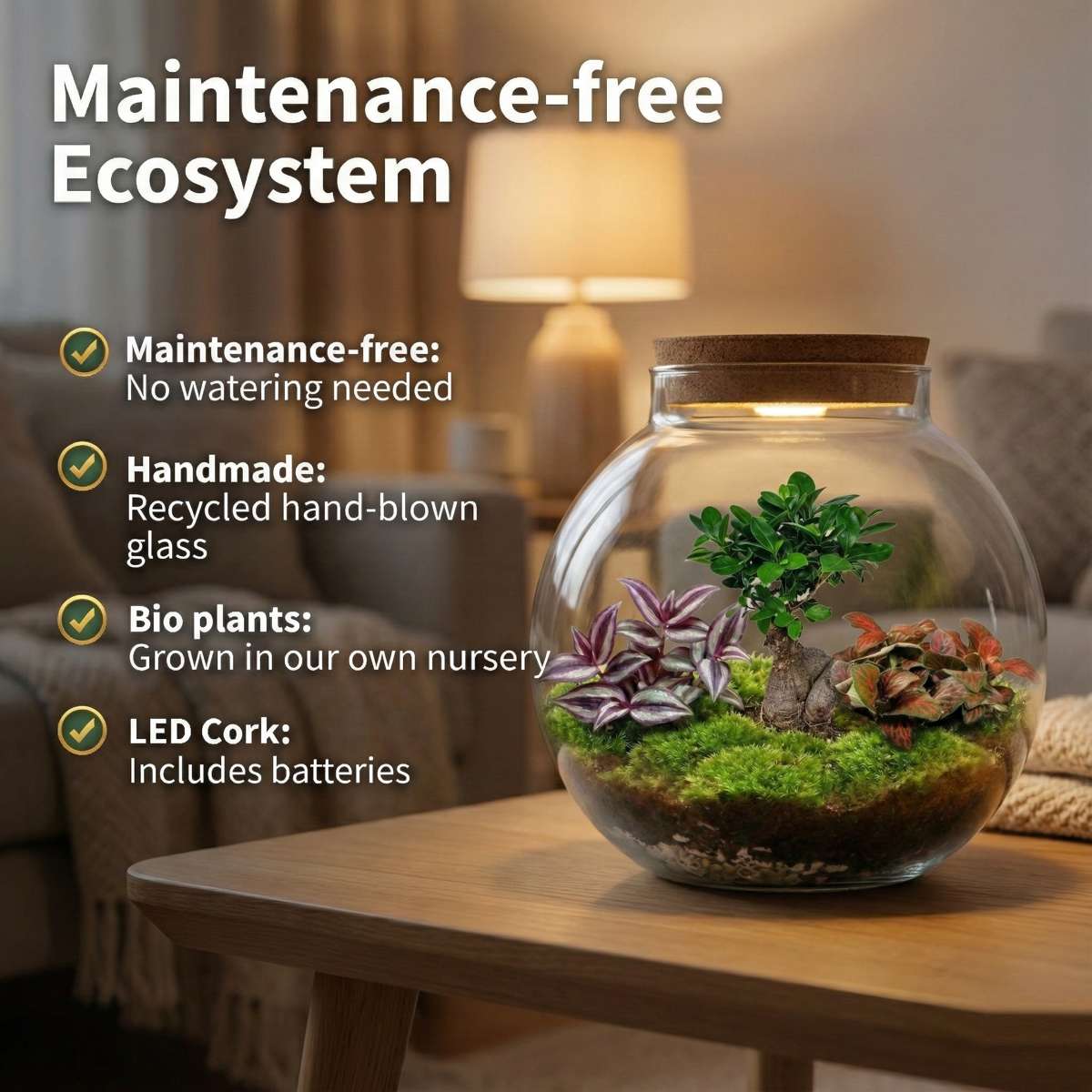 Bonsai Ecosysteem