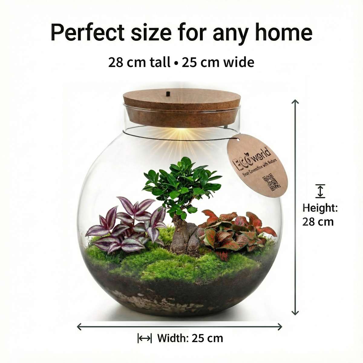 Bonsai Ecosysteem