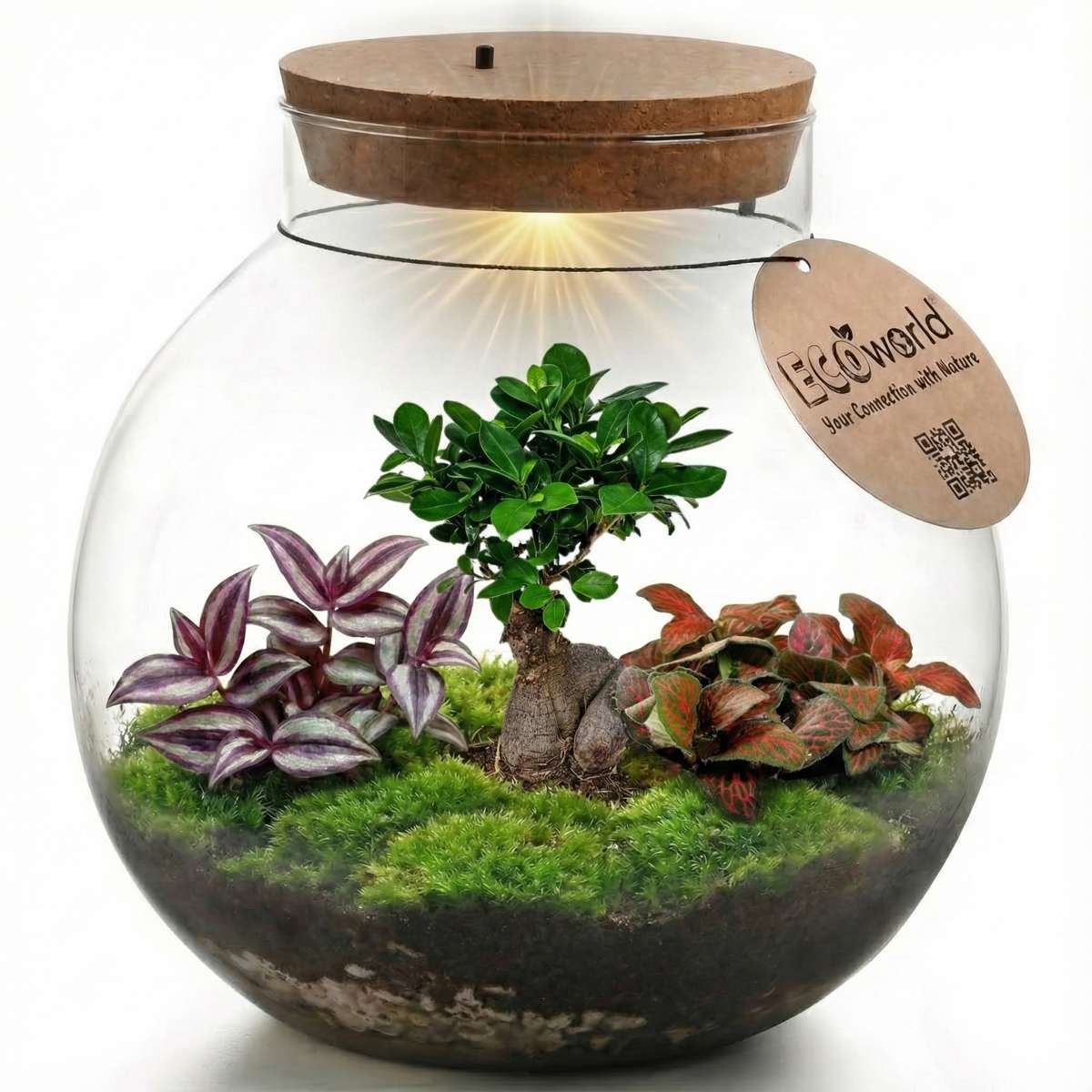 Bonsai Ecosysteem
