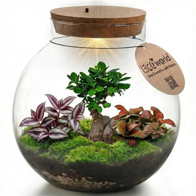 Bonsai Ecosysteem