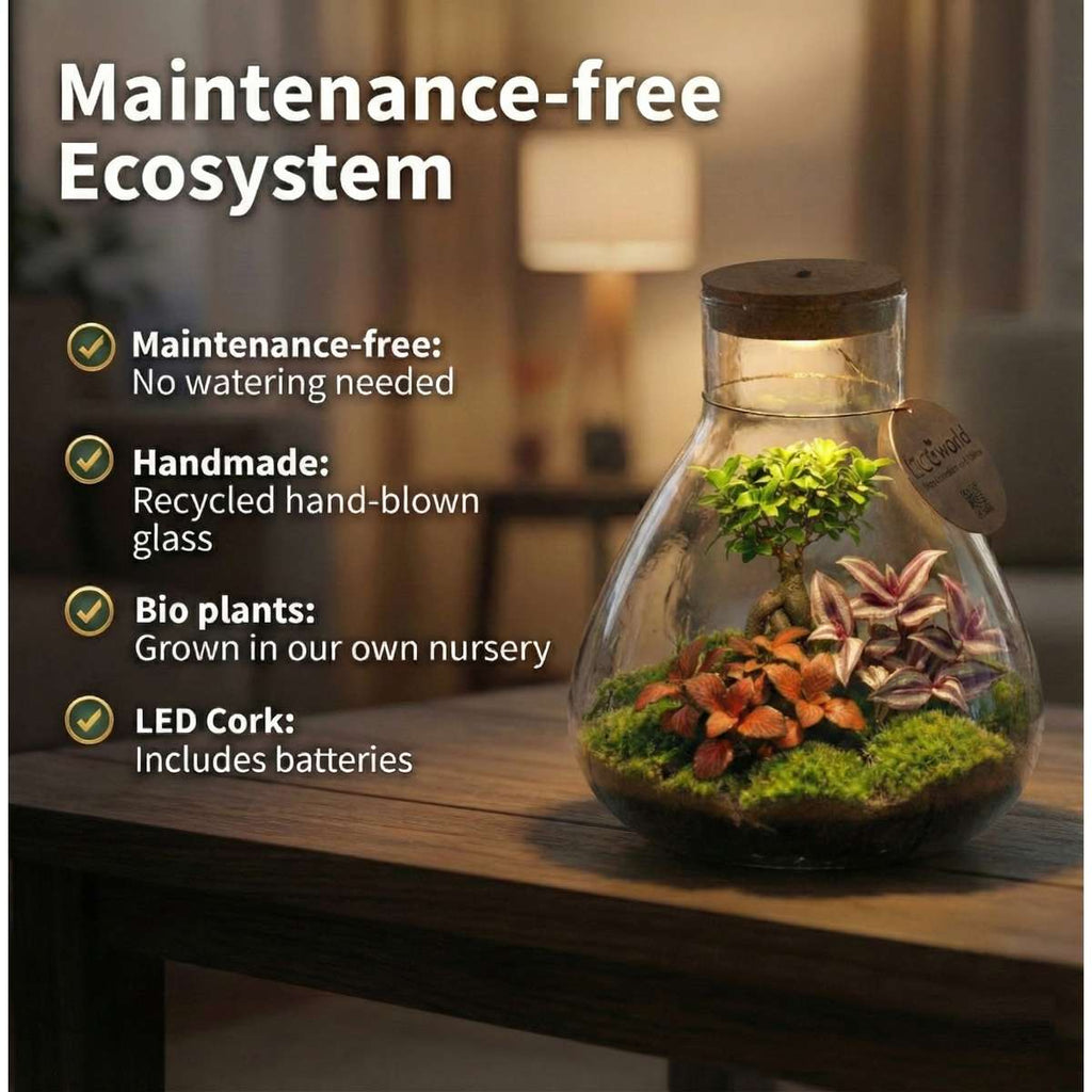 Bonsai Terrarium
