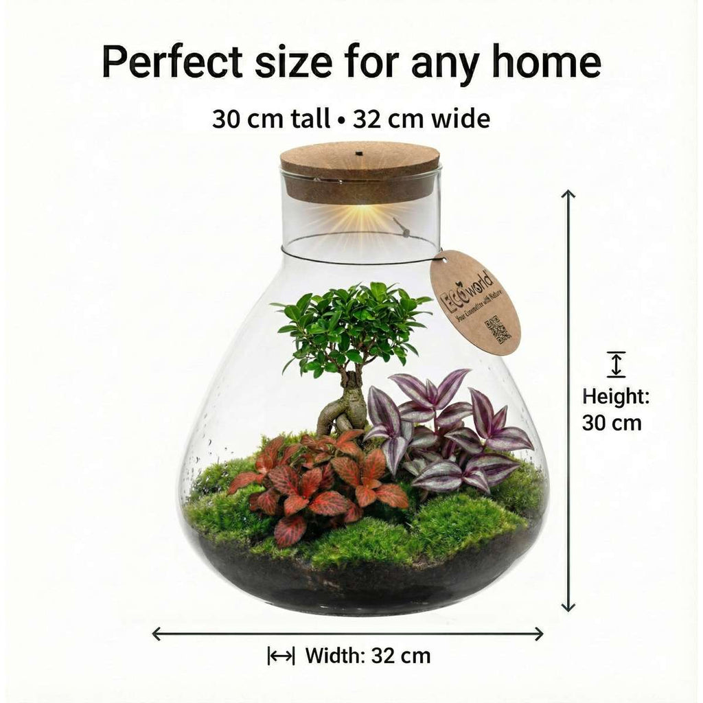 Bonsai Terrarium