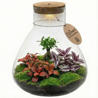 Bonsai Terrarium