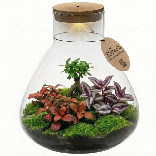 Bonsai Terrarium