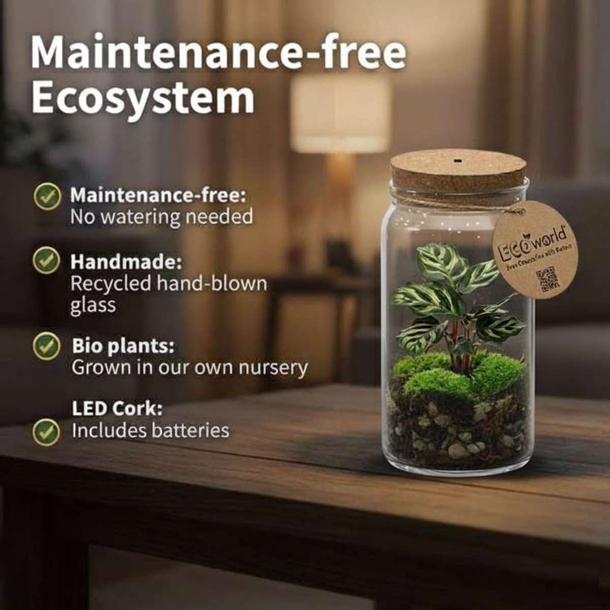 Mini Ecosysteem
