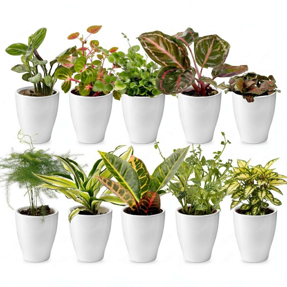 Mini Plantjes met Potjes 10