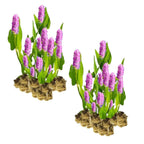 Roze Snoekkruid 30 planten