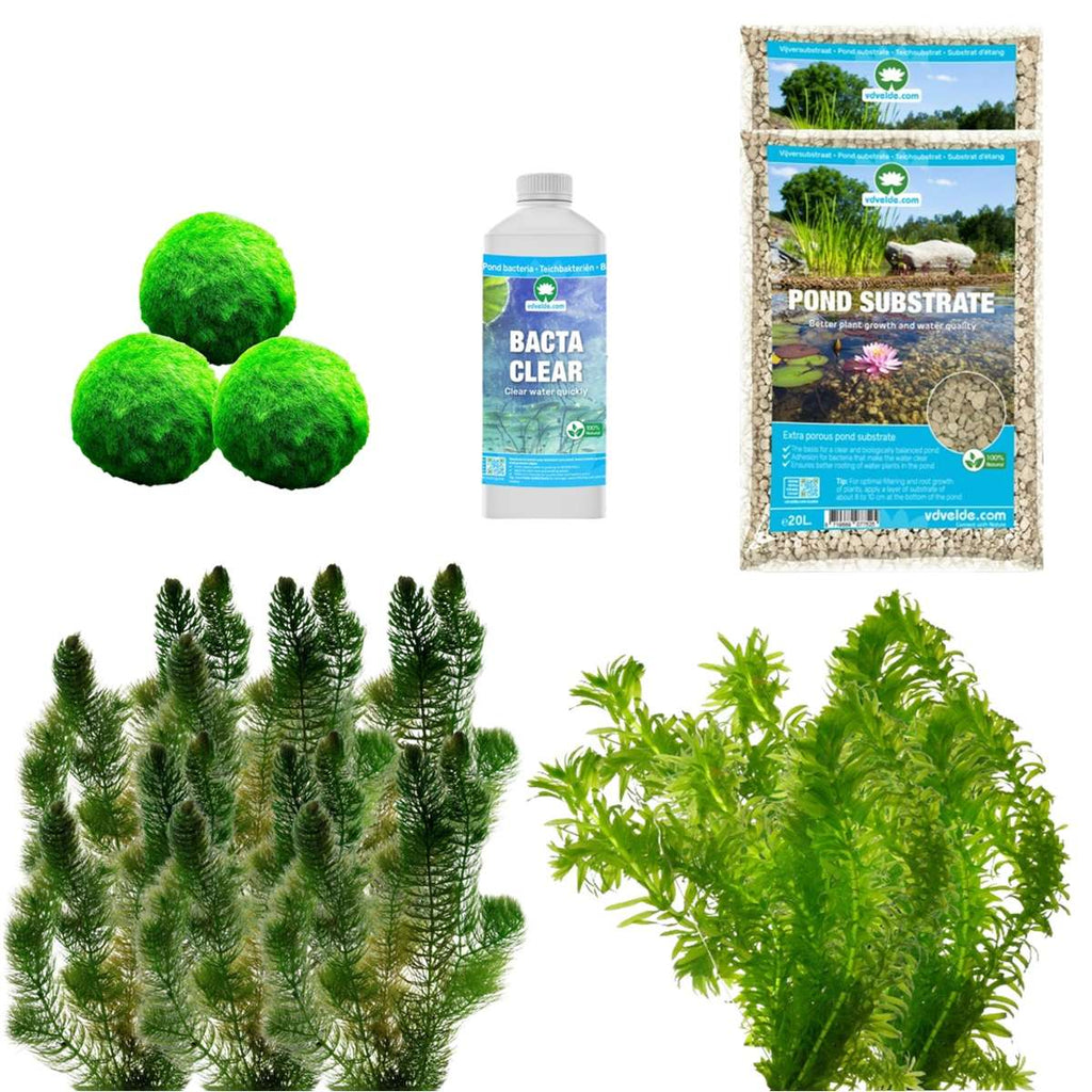 Spiegelvijver Onderwaterplanten 1.500-3.000L