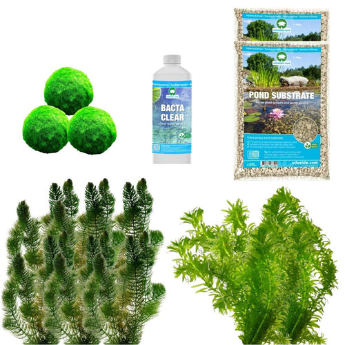 Spiegelvijver Onderwaterplanten 1.500-3.000L