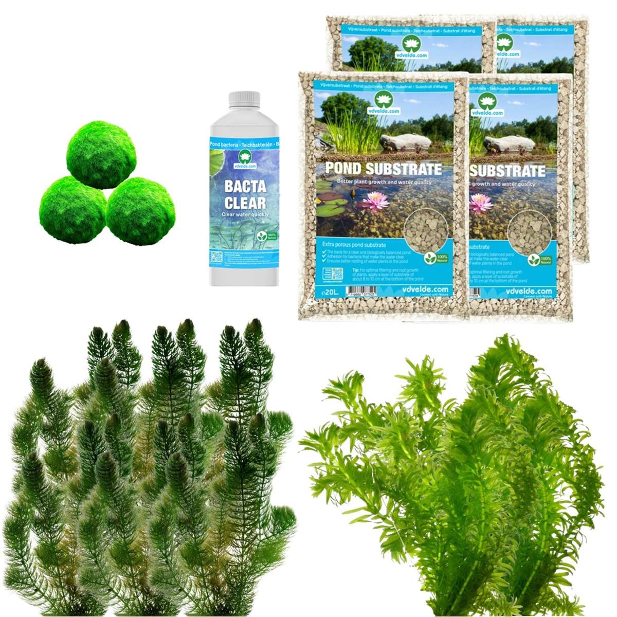 Spiegelvijver Onderwaterplanten 3.500-6.000L