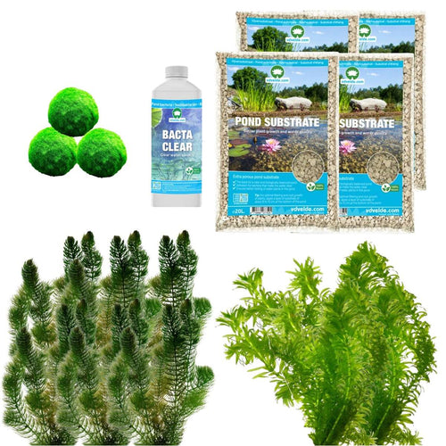 Spiegelvijver Onderwaterplanten 3.500-6.000L