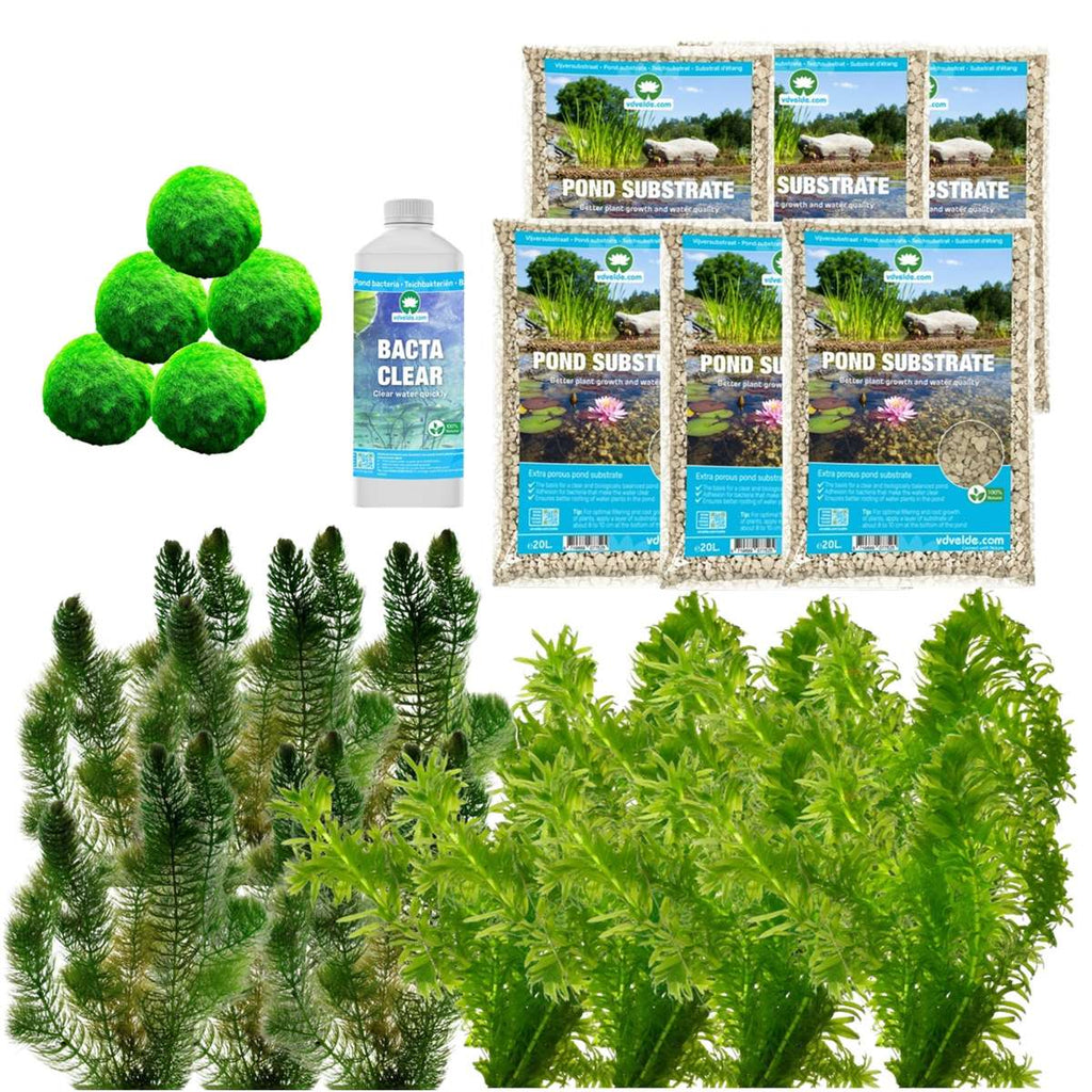 Spiegelvijver Onderwaterplanten 6.500-9.000L