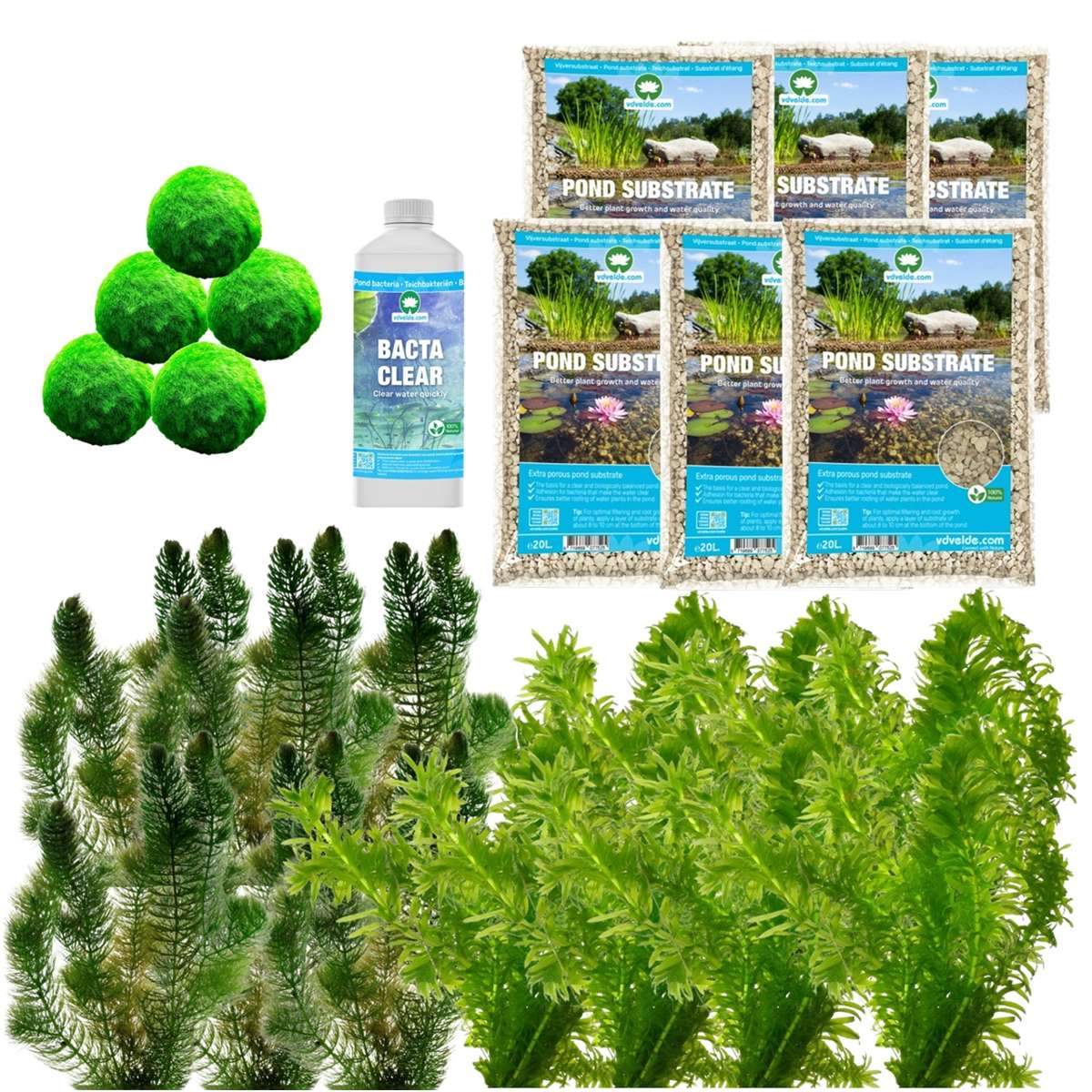 Spiegelvijver Onderwaterplanten 6.500-9.000L