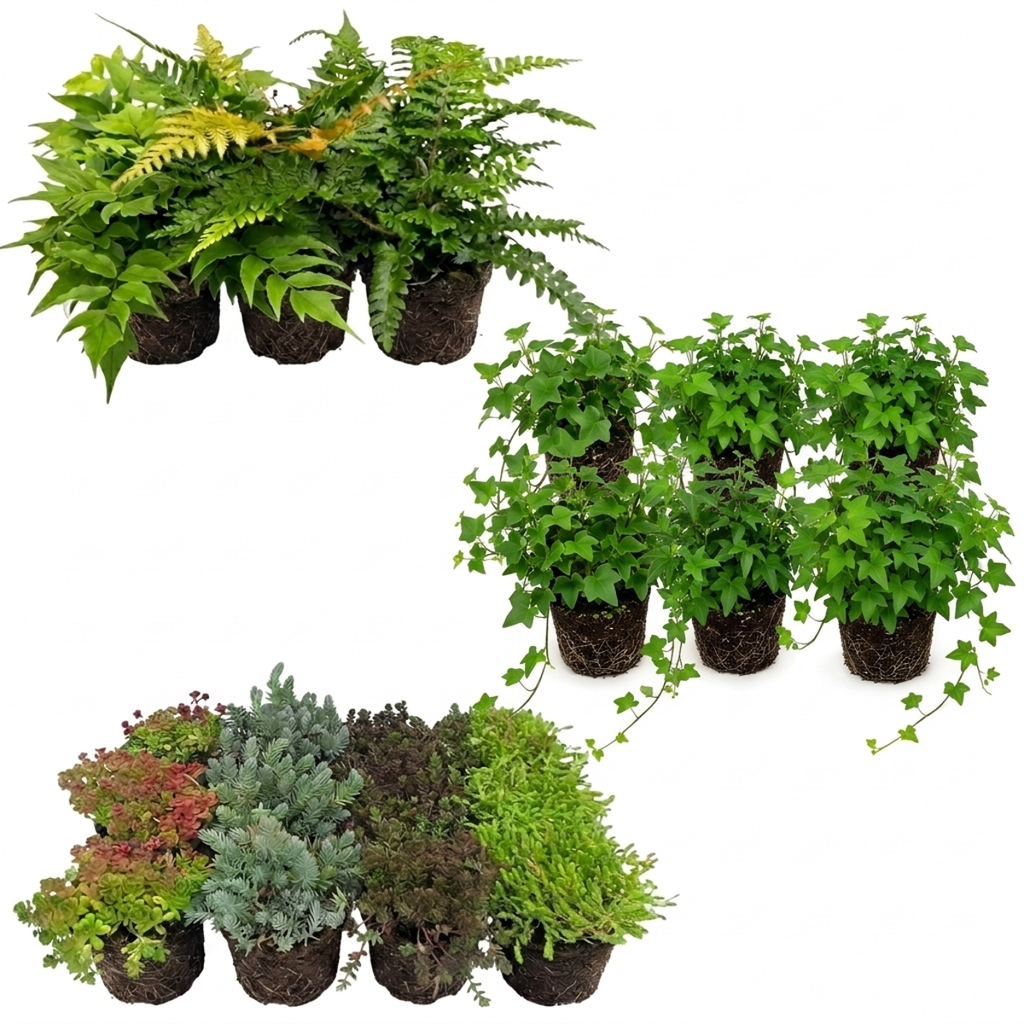 Droge Vijverrand Planten 2-3m2
