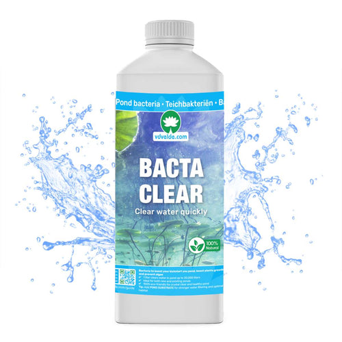 BACTA CLEAR Vijverbacteriën