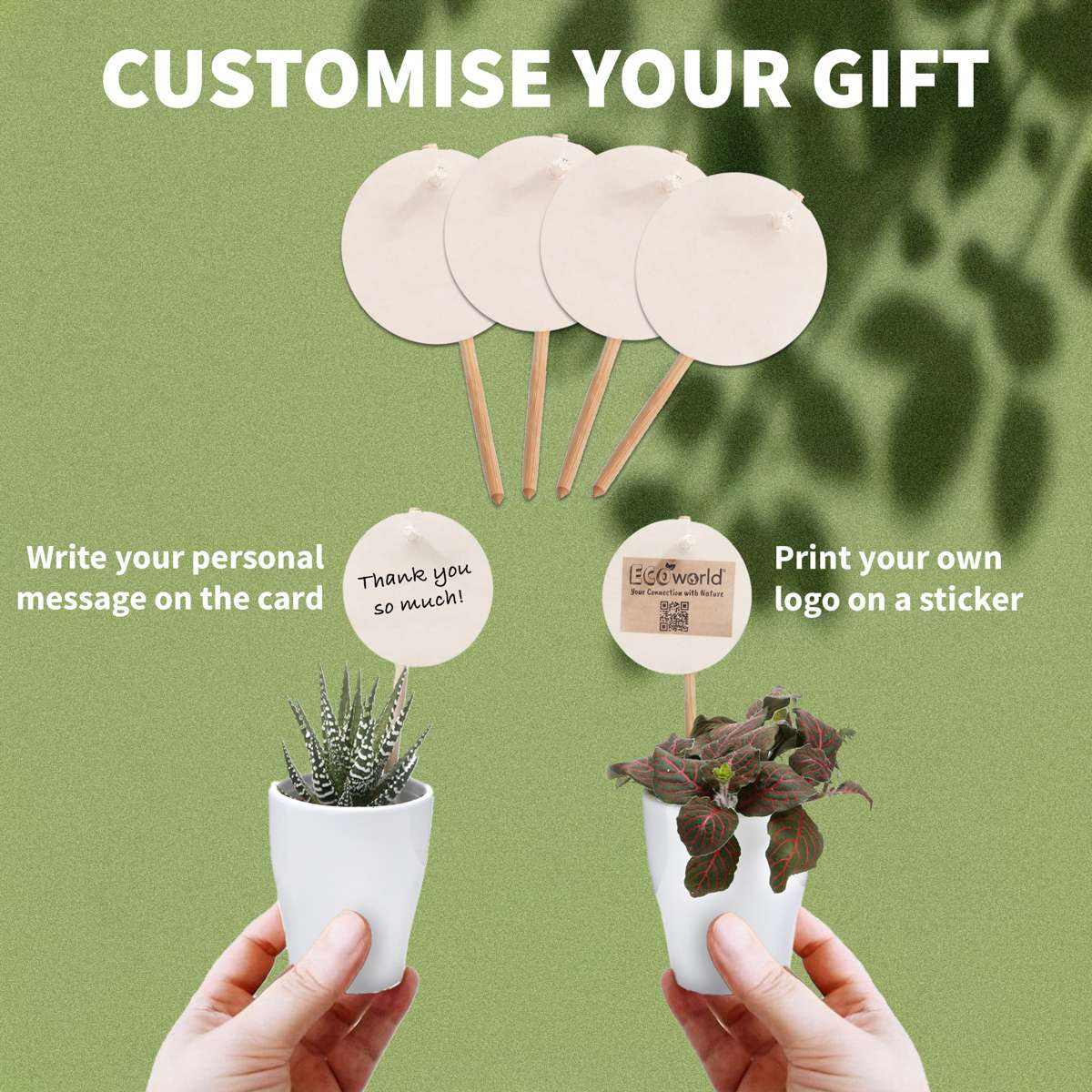 Giveaway Mini Plantjes 20