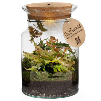 Ecosysteem Plant