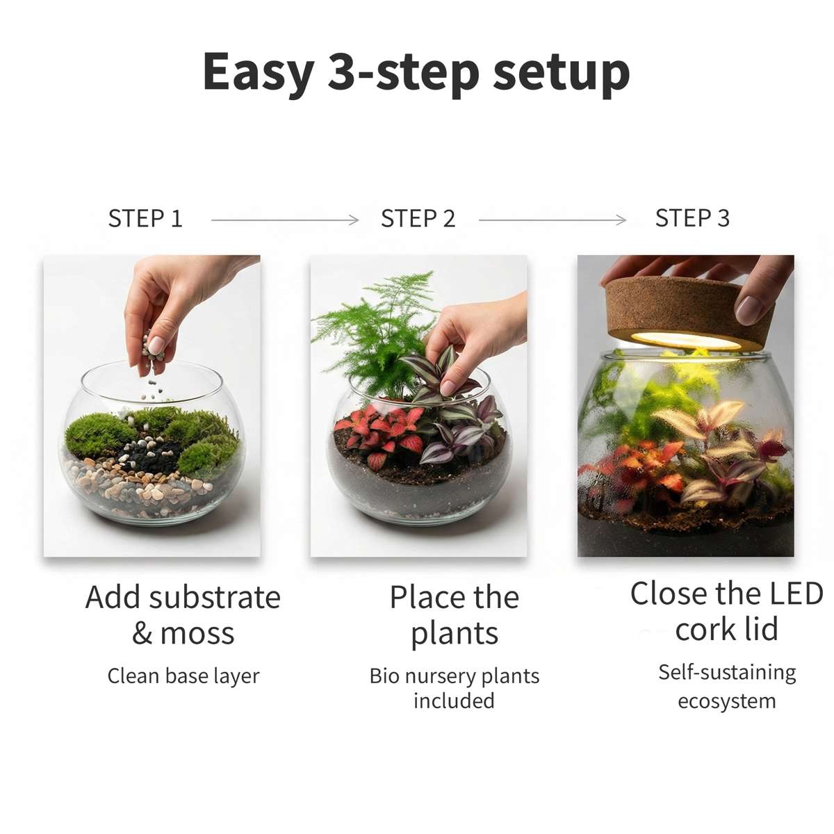 Mini Ecosysteem